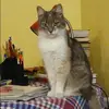 Отзыв от Катюша Емельянова